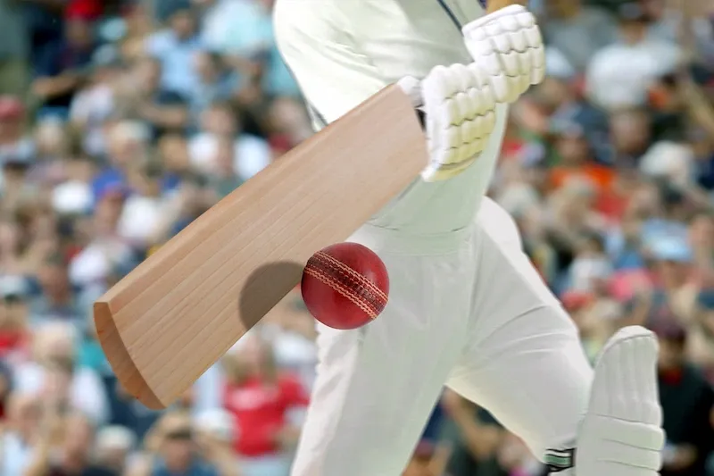 Pro Cricket Batter
