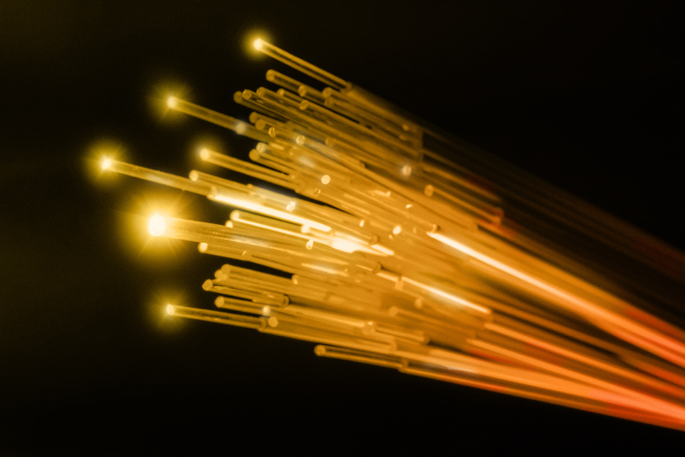 Imagen de primer plano de cables de fibra óptica.