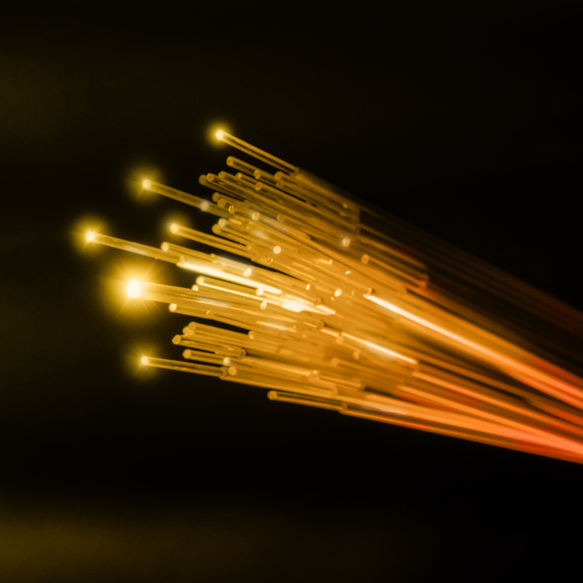 Imagen de primer plano de cables de fibra óptica.