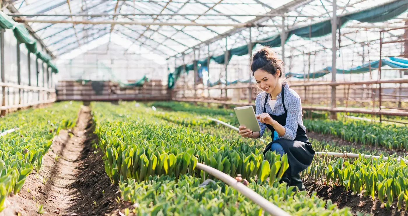 A smiling woman in an apron kneels in a large greenhouse, using a digital tablet to manage rows of green plants.