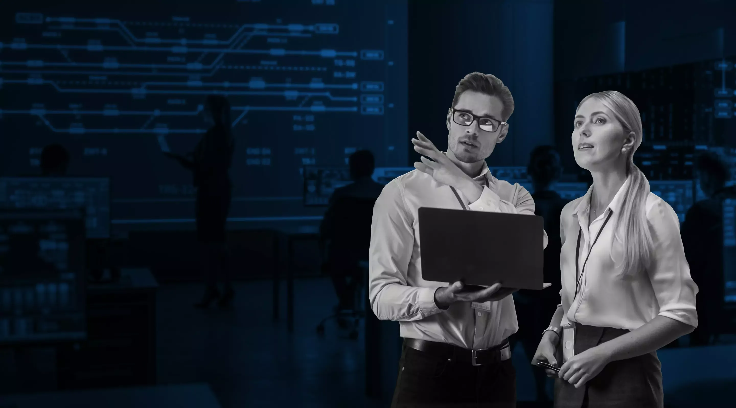 cybersecurity professionals