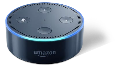 black echo dot