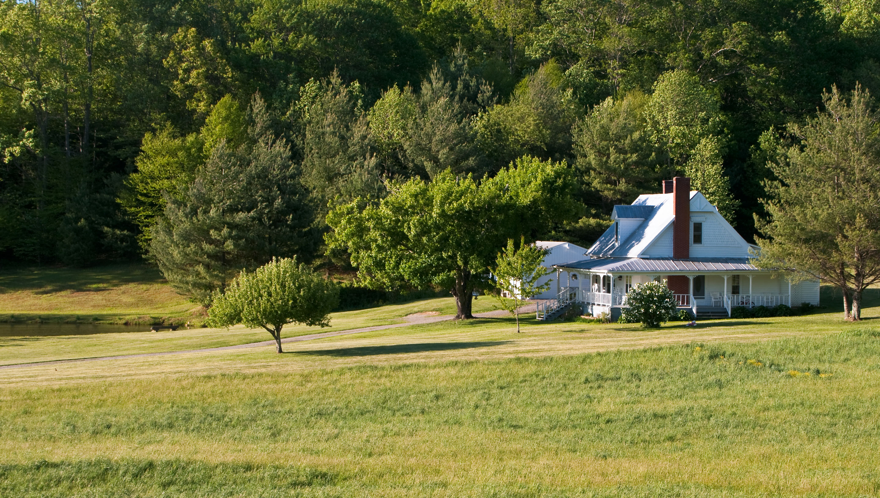 farm house and trees