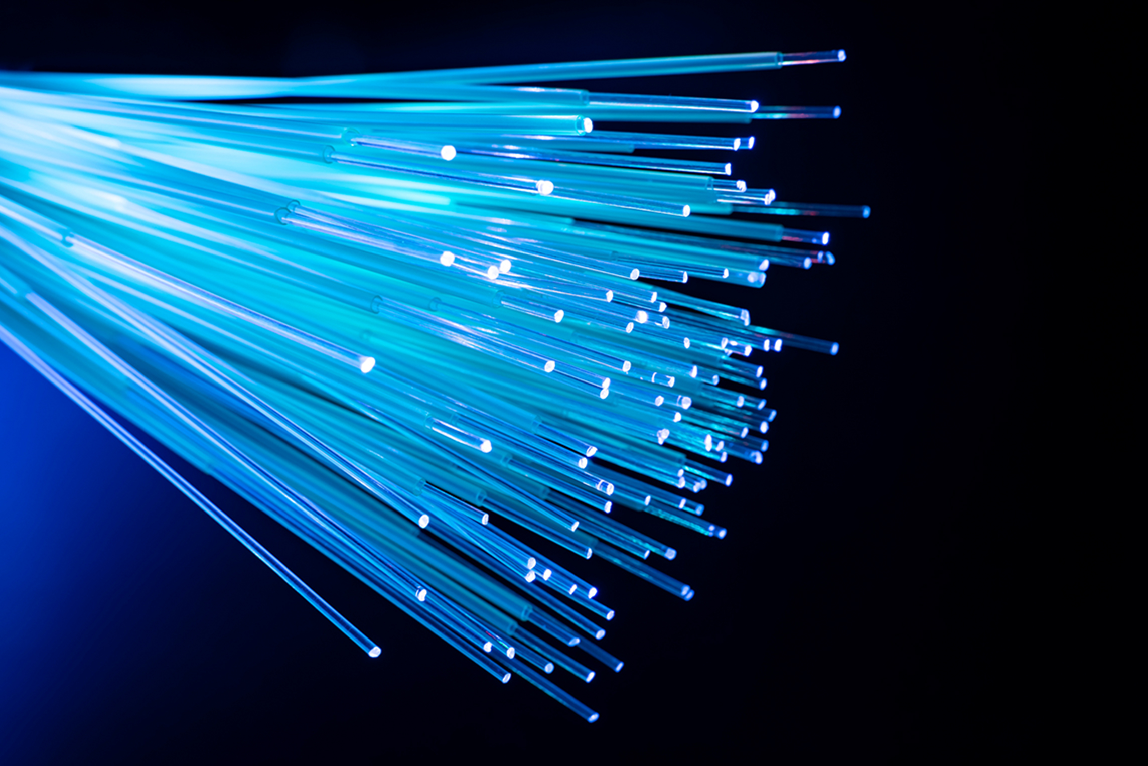 Closeup of fiber cables