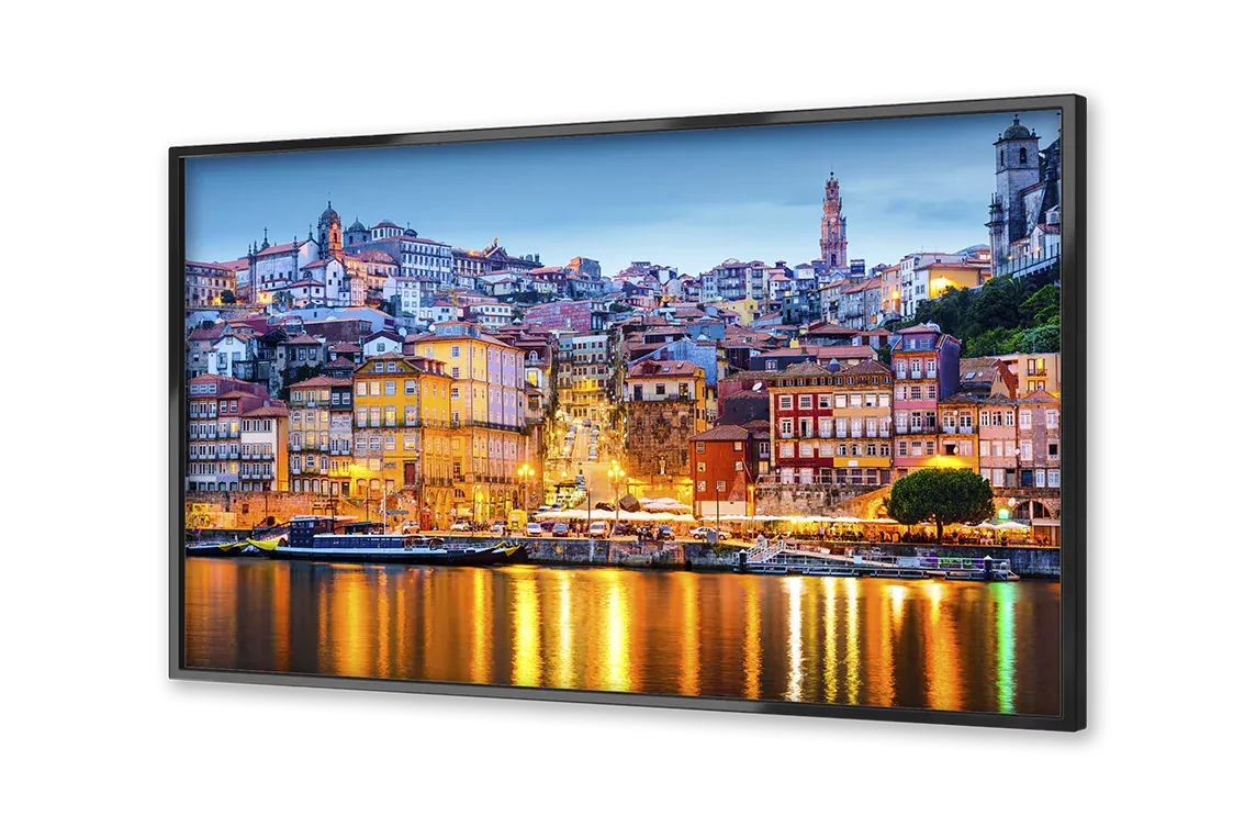 Image of Porto on a flatscreen TV