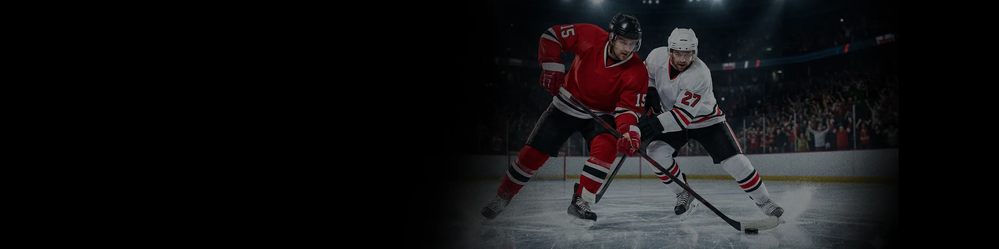 Ice Hockey players in action