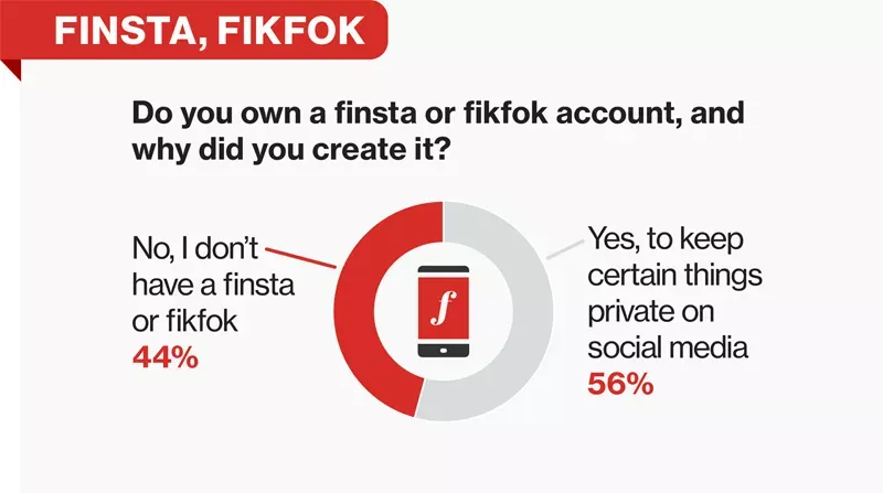 Infographic representing all the people who have finstas and fik foks.