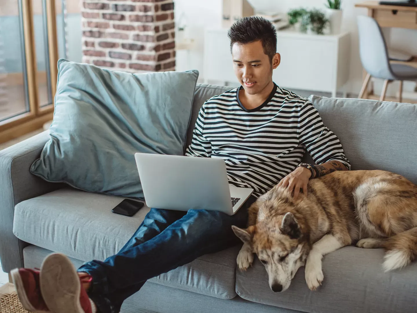 A man in a striped shirt sitting on a gray sofa while using a laptop and petting a large dog.