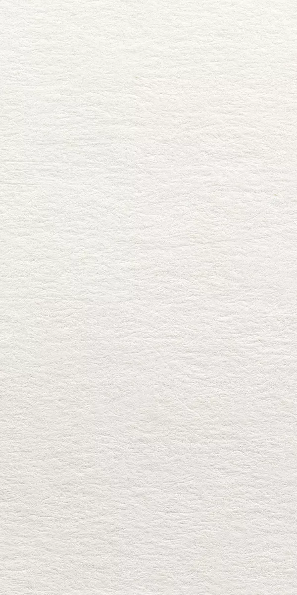 Parchment Paper