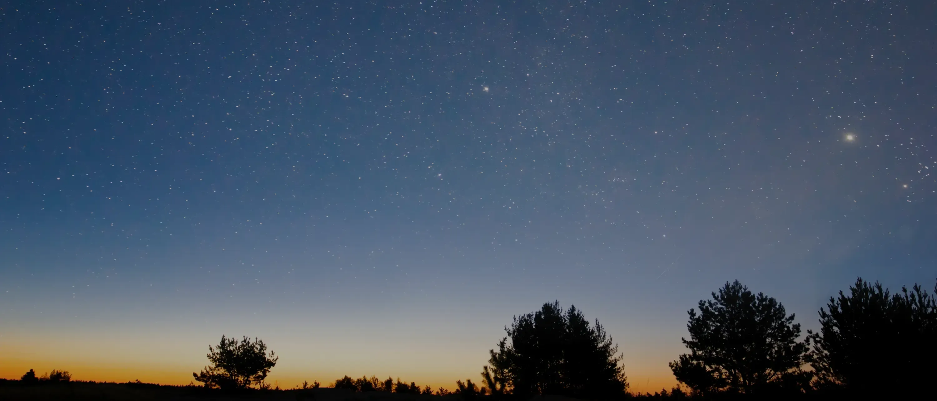 Wide shot of a starry night sky over a silhouette of trees and a glowing orange horizon.